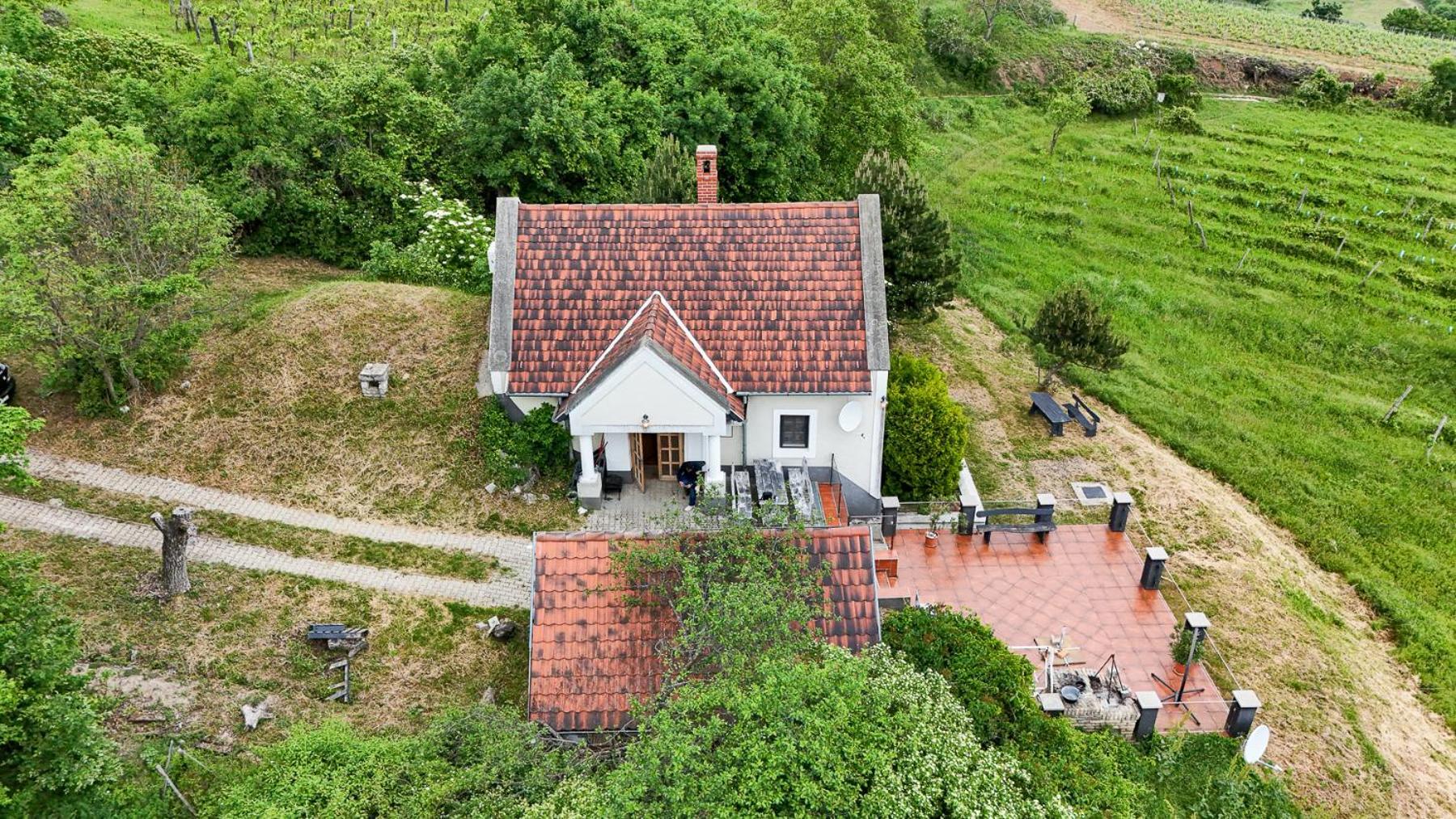 Borospince Vendeghaz Villa Pecsely ภายนอก รูปภาพ